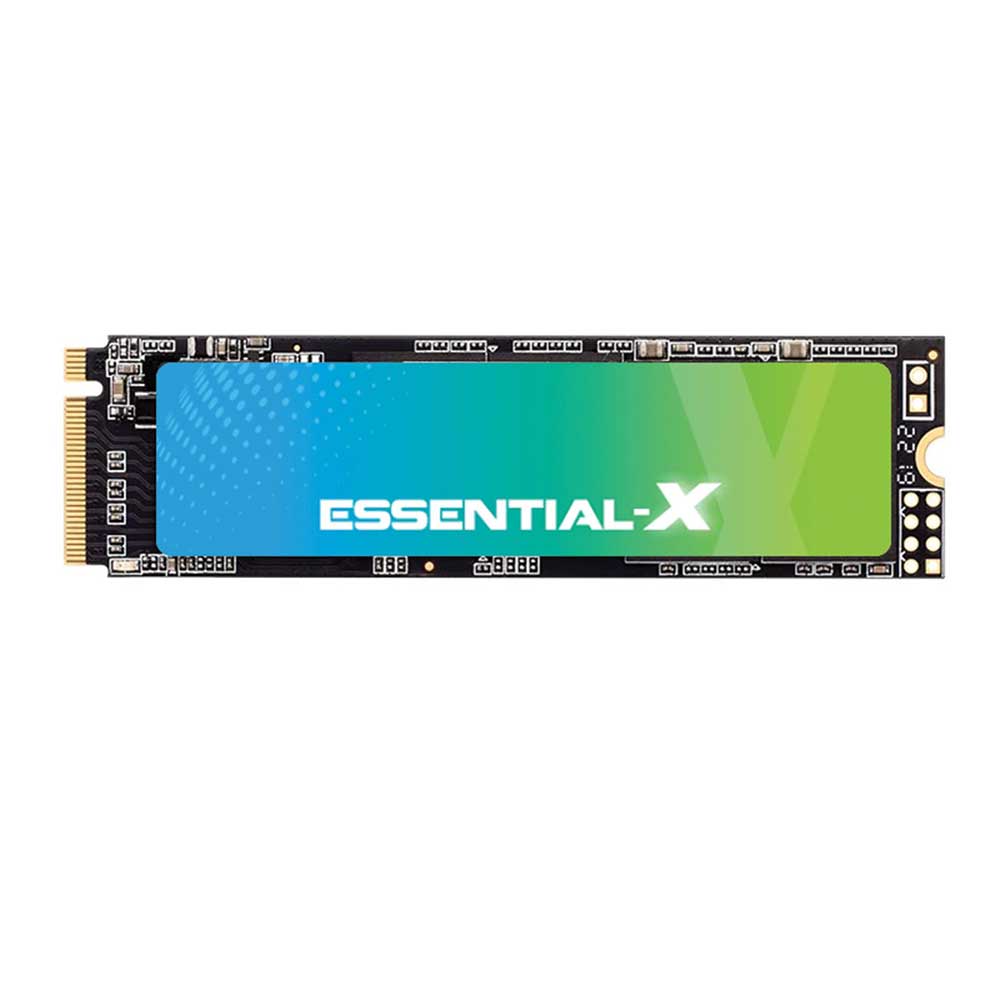 اس اس دی اینترنال اگزاسند مدل Essential-X ES256GSSDM2SFT M.2 ظرفیت 256 گیگابایت