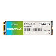 اس اس دی اینترنال اگزاسند مدل Essential-X ES256GSSDM2SFT M.2 SATA ظرفیت 256 گیگابایت